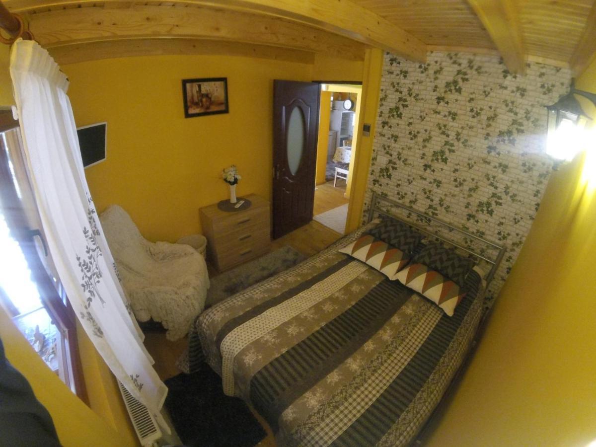 Cabana Fario Rau Mare - Retezat Clopotiva Extérieur photo