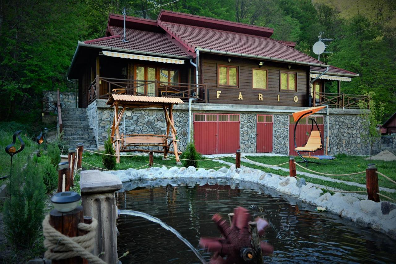 Cabana Fario Rau Mare - Retezat Clopotiva Extérieur photo